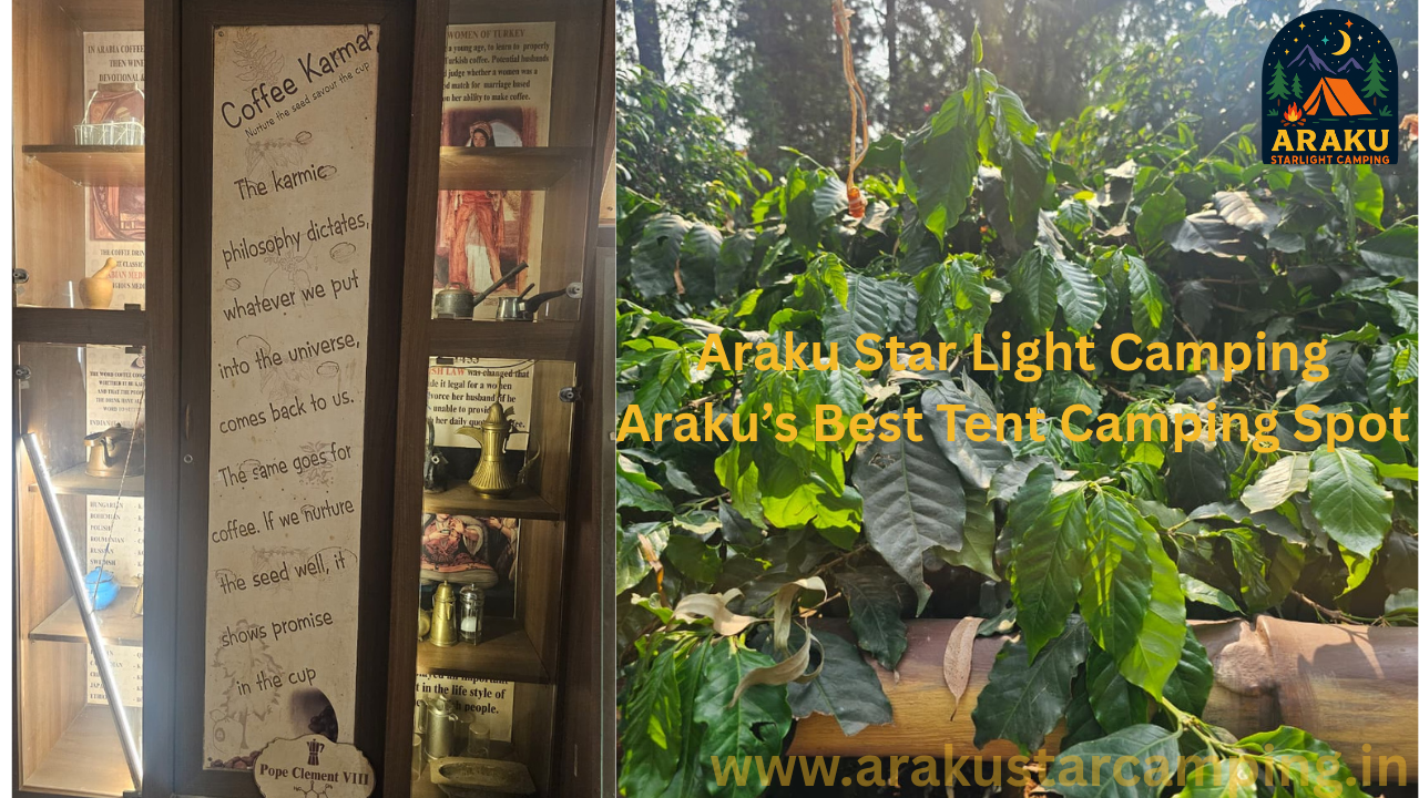Coffee Museum & Coffee House Araku Coffee Museum, coffee tourism Andhra Pradesh, coffee culture Araku Valley, coffee house Araku