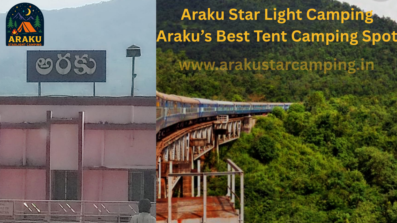 The most exciting way is to take the train from Vizag. It goes through dozens of dark tunnels! The train stops right near the Borra Guhalu Station. |