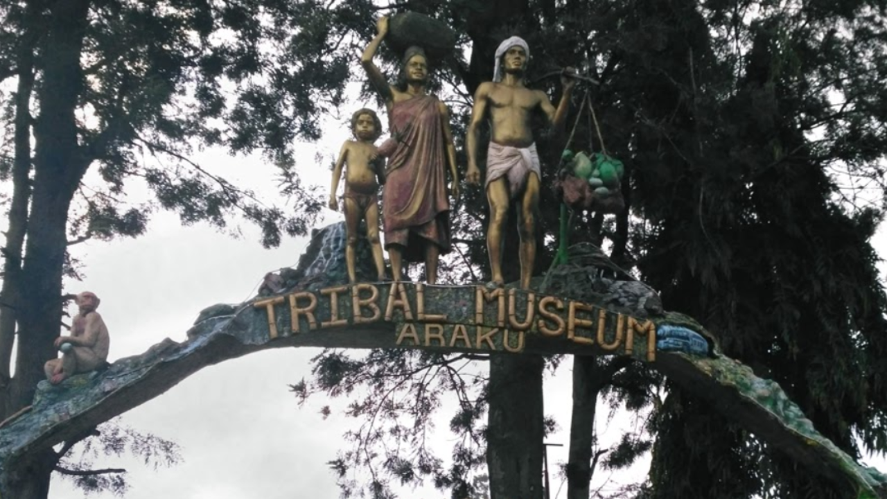 Araku Star Light camping - Best Tent Stay in Araku Valley — Under the Stars at Araku Star Light Camping -Experience the Magic of the Hills — Araku’s Best Tent Camping Spot